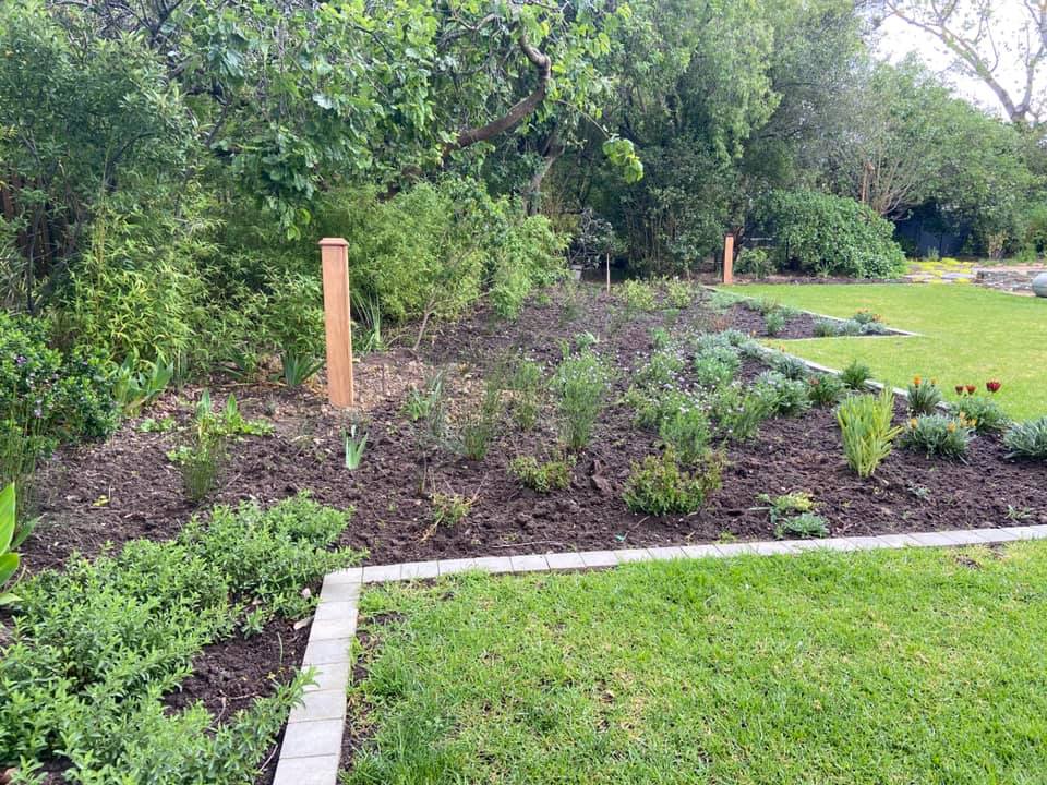 Stone path through soft planting