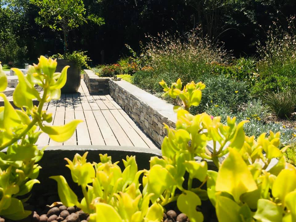 Maturing garden with layered planting